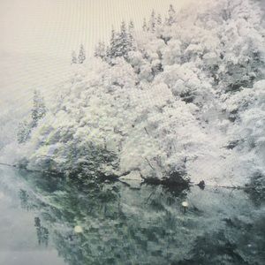 Meet your Posher, Adan